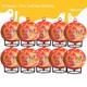 10 PACK Self-Exciting Fire Extinguisher ball for Kitchen Car Electric Box Garage