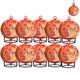 10 PACK Self-Exciting Fire Extinguisher ball for Kitchen Car Electric Box US