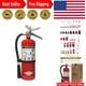 5 lb Fire Extinguisher ABC Dry Chemical for Complete Safety at Home & Office