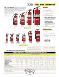 ABC Dry Chemical Fire Extinguisher 5 lb. With Wall Bracket