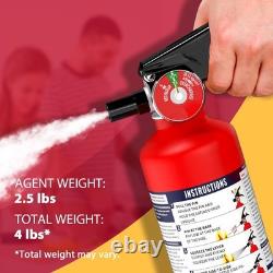 ABC Dry Powder Fire Extinguisher 2.5 lb 1-A10-BC, Home Kitchen Office Car, 2