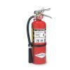 AMEREX B424 Fire Extinguisher, Steel, Red, ABC 3YWL7