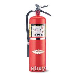 Amerex 10 lb ABC Fire Extinguisher with Aluminum Valve & Wall Hook Amerex 456