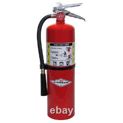 Amerex 10 lb ABC Fire Extinguisher with Brass Valve & Wall Hook Amerex 441 14966