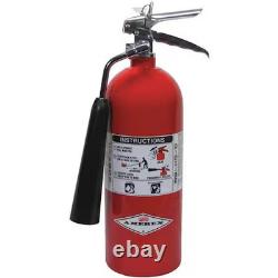 Amerex 27774 Fire Extinguisher, 5 Lb Capacity, Class Bc, Ul Rating5bC