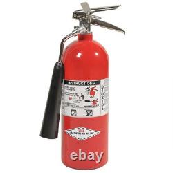 Amerex 322, 5lb CO2 Fire Extinguisher with Chrome Plated Brass Valve