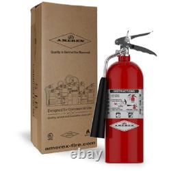 Amerex 322 5lb CO2 Fire Extinguisher with Chrome Plated Brass Valve, Wall Hanger