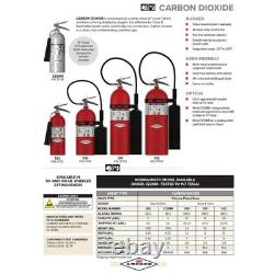 Amerex 322 5lb CO2 Fire Extinguisher with Chrome Plated Brass Valve, Wall Hanger