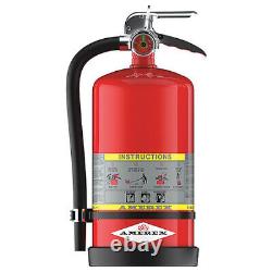 Amerex 713 Fire Extinguisher, 4A80BC, Dry Chemical, 13.2031 Lb