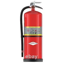 Amerex 715 Fire Extinguisher, 10A160BC, Dry Chemical, 30 Lb