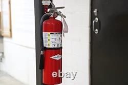 Amerex B456 ABC Dry Chemical Fire Extinguisher with Aluminum Valve 10 lb. Wit