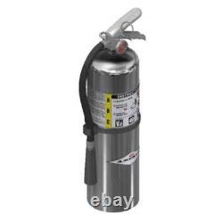 Amerex B456C Chrome Fire Extinguisher, ABC, 10lb, 4A80BC (15576)
