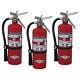 Amerex B479T, 5lb Purple K Chemical Class B C Fire Extinguisher 3 Pack
