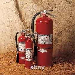 Amerex B479t Fire Extinguisher, 5 Lb Capacity, Class Bc, Ul Rating30bC