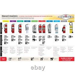 Amerex C260 6 Liter Class K Wet Chemical Fire Extinguisher for Kitchen Use