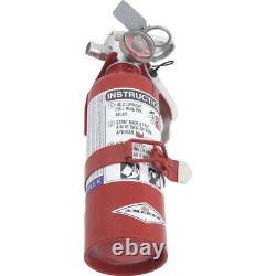 Amerex Fire Extinguisher Purple K Dry Chemical 1-Pound Capacity 376T Red