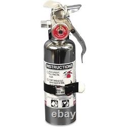 Amerex Fire Extinguisher Purple K Dry Chemical 1-Pound Capacity 376TC Chrome