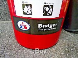 BADGER B10V Fire Extinguisher Carbon Dioxide 10lb BC