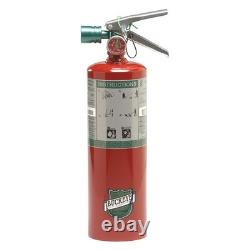 BUCKEYE 70510 Fire Extinguisher, Steel, Red, BC 35WT20