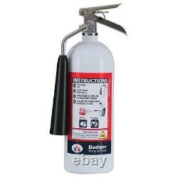 Badger B5v-1Mr Fire Extinguisher, 5BC, Carbon Dioxide, 5 Lb