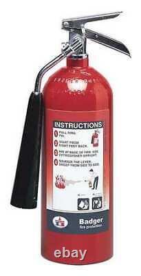 Badger B5v Fire Extinguisher, 5BC, Carbon Dioxide, 5 Lb