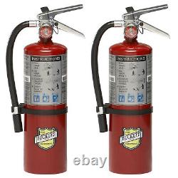 Buckeye 10914, 5lb ABC Dry Chemical Extinguisher, Aluminum Valve, Bracket, 2 PK