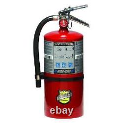 Buckeye 11350 Fire Extinguisher, 1A20BC, Dry Chemical, 10 Lb