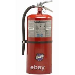 Buckeye 12620 Fire Extinguisher Purple K 20 lb. NEW FREE SHIPPING