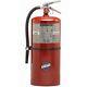 Buckeye 12620 Fire Extinguisher Purple K 20 lb. NEW FREE SHIPPING