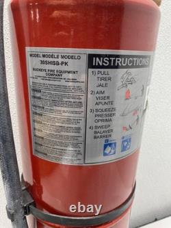 Buckeye 30 lb. Purple K Dry Chemical Fire Extinguisher With Wall Mount 12805