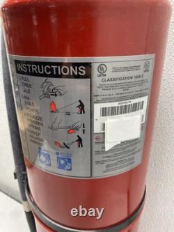 Buckeye 30 lb. Purple K Dry Chemical Fire Extinguisher With Wall Mount 12805