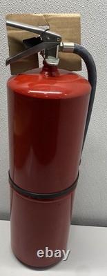 Buckeye 30 lb. Purple K Dry Chemical Fire Extinguisher With Wall Mount 12805