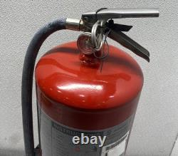 Buckeye 30 lb. Purple K Dry Chemical Fire Extinguisher With Wall Mount 12805