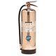 Buckeye 50000 Stainless Steel Water Pressurized Fire Extinguisher with Wall Hook