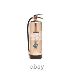 Buckeye 50000 Stainless Steel Water Pressurized Hand Held Fire Extinguisher