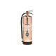 Buckeye 50000 Stainless Steel Water Pressurized Hand Held Fire Extinguisher