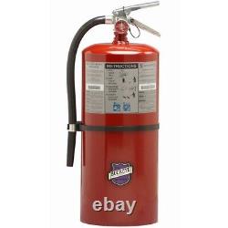 Buckeye Purple K Fire Extinguisher 20lb 12620