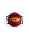 Elide USA ELY6 Fire Extinguisher Ball for A/B/C Type Fires