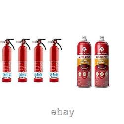 FE1A10GR195 ABC Home Fire Extinguisher, Rated 1-A10-BC, Model# HOME1, Red