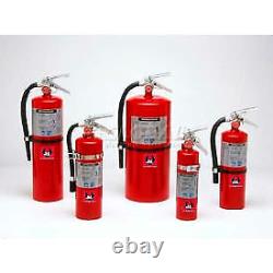 Fire Extinguisher, 10 Lbs Multi-Purpose Dry Chemical, Cosmic 10E Activar