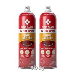 Fire Extinguisher Large Home Fire Extinguisher Red Fe2a10gr & Ez Fire Spray Fire