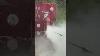 Fire Extinguisher Vs Lift Mathewsinc Blackeaglearrows Oldies Song New Reels Fyp Follow