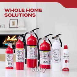 Fire Extinguisher for Home, 1-A10-BC, Dry Chemical Extinguisher, Red, Mounting