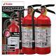 Kidde Fire Extinguisher Pro 210 2-A10-BC (2-Pack)