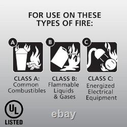 Multi-Purpose Fire Extinguisher, Pro 210, 4 lbs