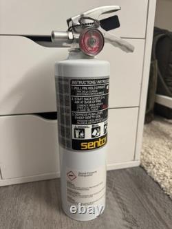 NEW The Boring Company Fire Extinguisher from Not A Flamethrower Elon Musk Tesla
