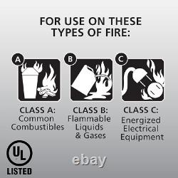 Pro 210 2A10-BC Fire Extinguisher 4lbs, Rechargeable, 2 Pack