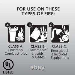Pro 210 2A10-BC Fire Extinguisher Compact 4 lbs, Ideal for Home & Office Use