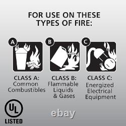 Pro 210 2A10-BC Fire Extinguisher, Rechargeable, Multi-Purpose for Home & O