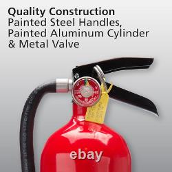 Pro 210 2A10-BC Fire Extinguisher, Rechargeable, Multi-Purpose for Home & O